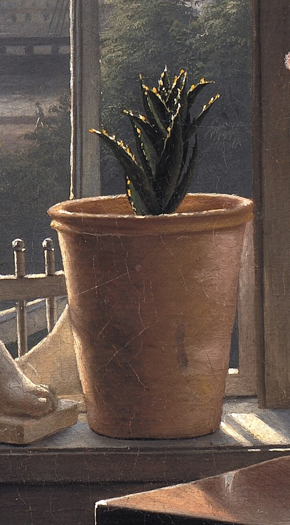 This potted plant speaks of growth and endurance.