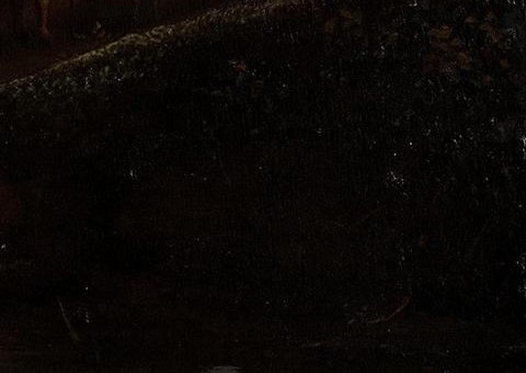 But look closely, hidden in the shadows on the right.