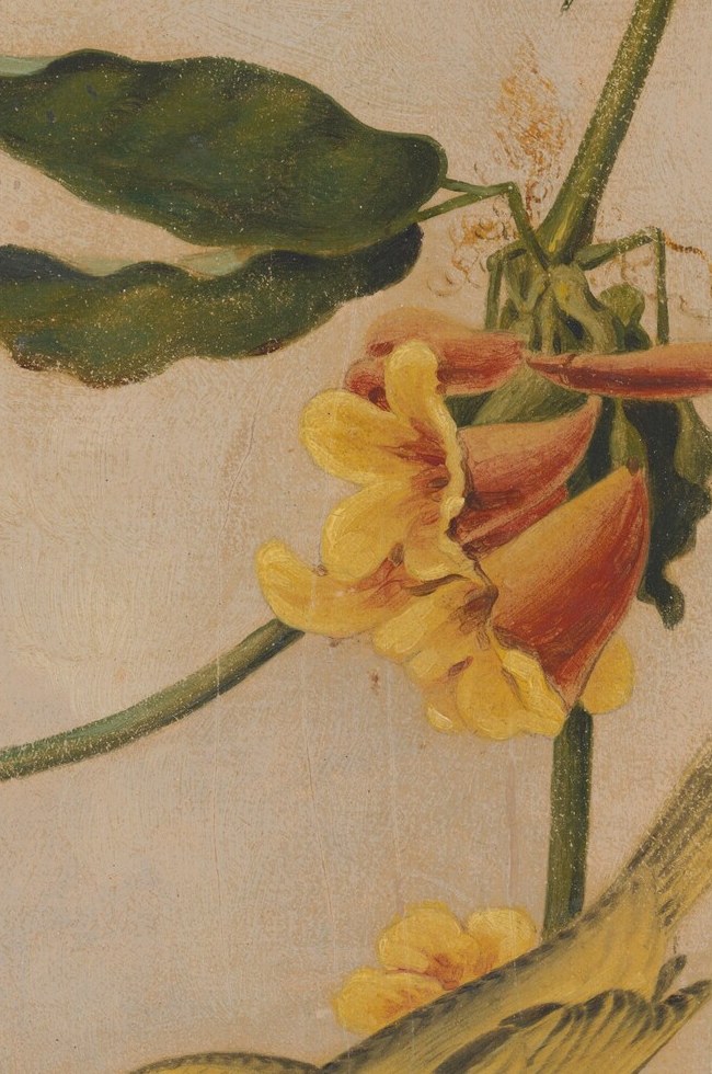 The orange petals share that scaffolding, dry pencil beneath wet glaze.
