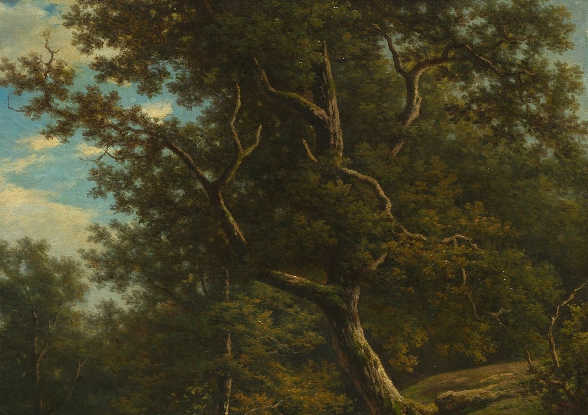 The canopy creates a natural vignette that frames the scene below and softens sky light , a classic Dutch-Flemish compositional device borrowed from Ruisdael.