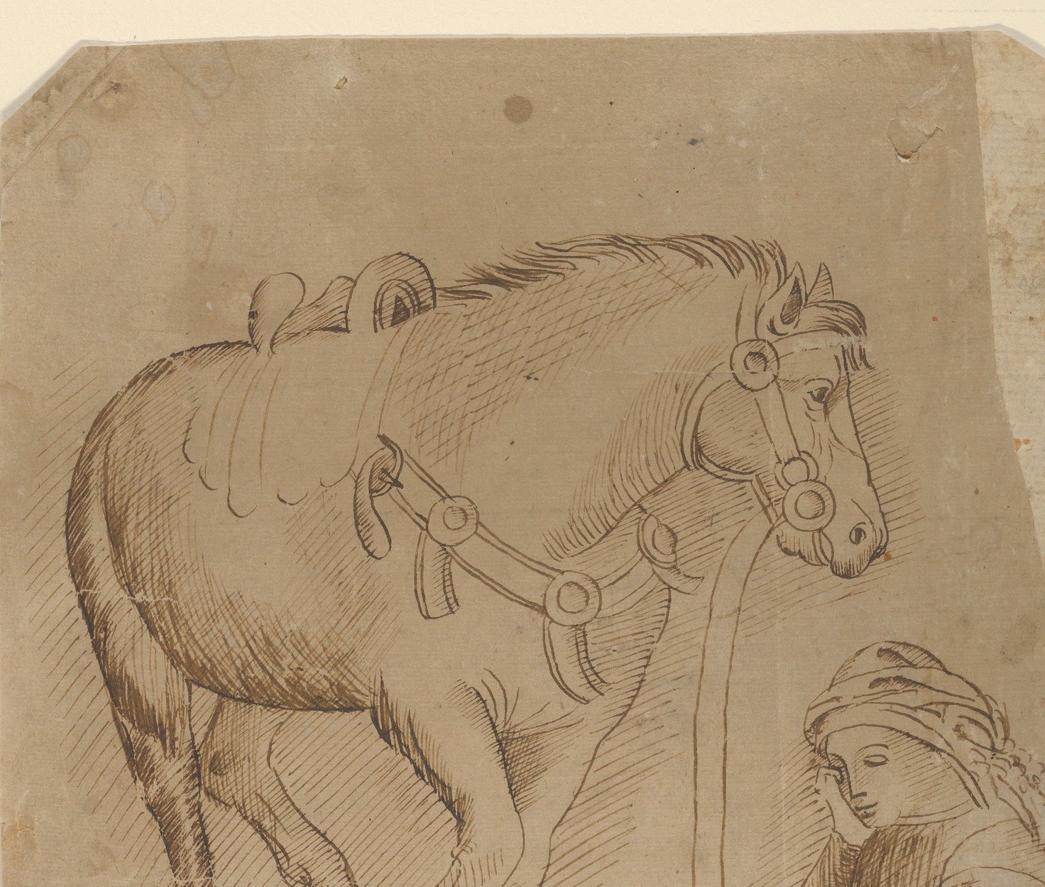 The horse dominates the upper two-thirds of the sheet with confident, fluid pen strokes , a rapid anatomical study that conveys mass and movement in minimal marks