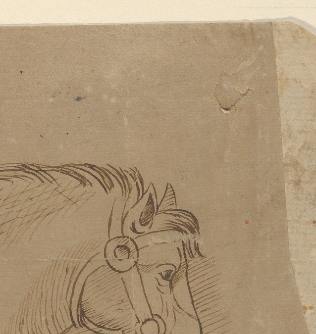 The horse has a bridle but no rider.