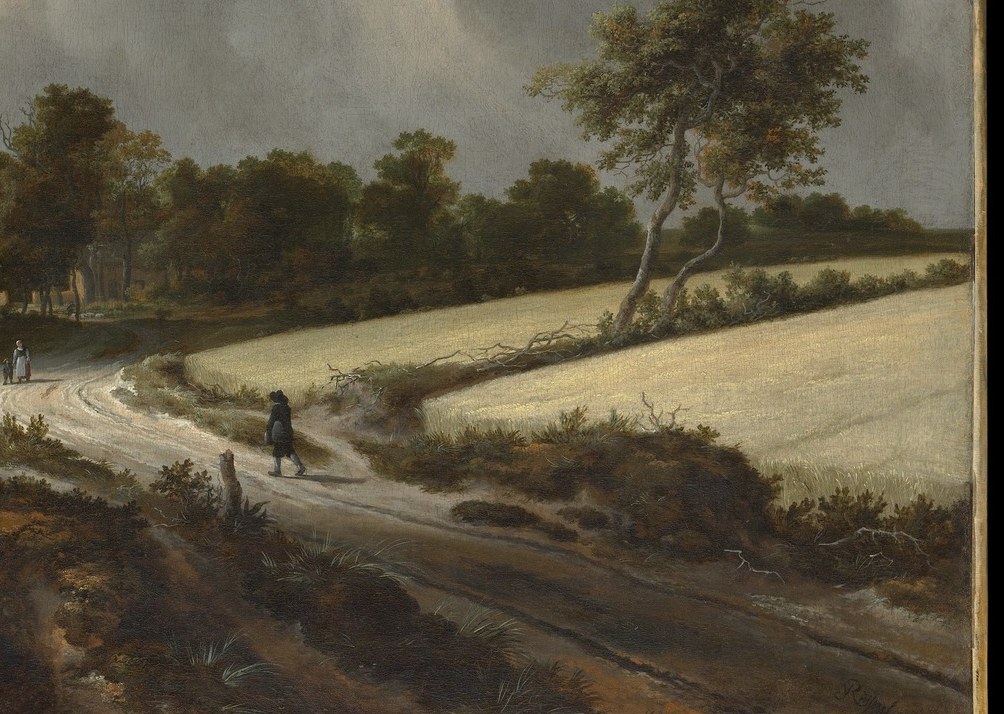 The dense ripe grain rendered with textural brushwork , a close-up reveals Ruisdael's technique for conveying both mass and individual stems, the agricultural heart of the composition.