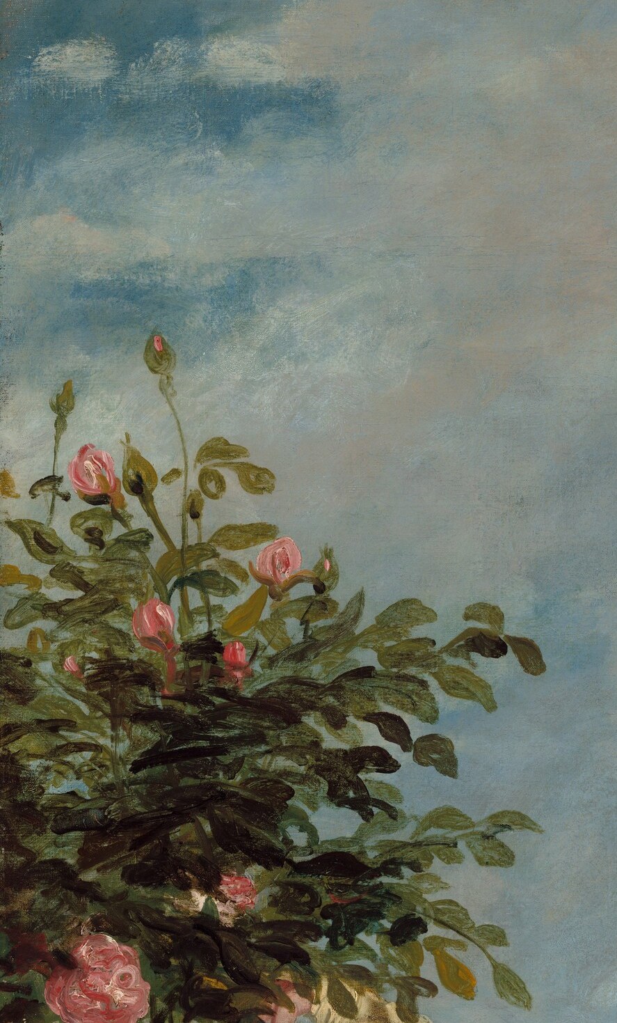 A spray of pink roses, just beyond her fingers.