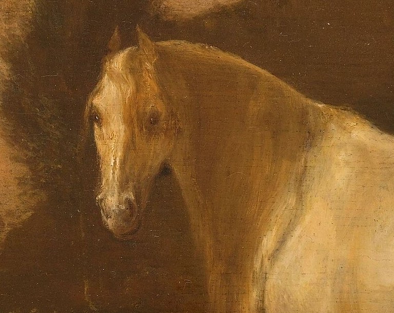 Io was transformed into a white cow by Zeus to hide her.