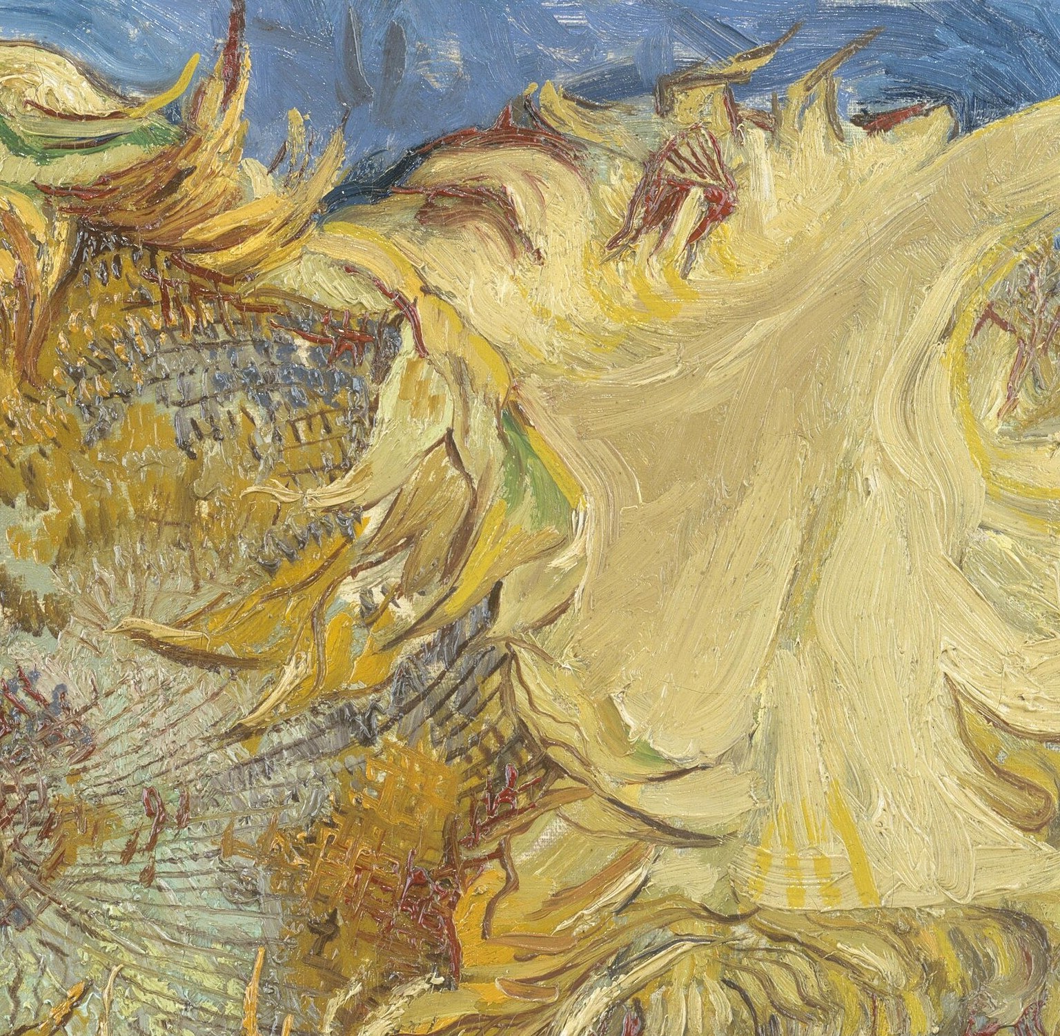 Slightly more elevated and angled than its companion, its disc is alive with individual brushstroke seeds , a close-up reveals Van Gogh's obsessive mark-making