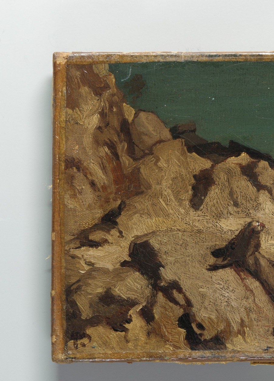 Its textured surface and shadowed crevices add depth and a sense of age to the scene.