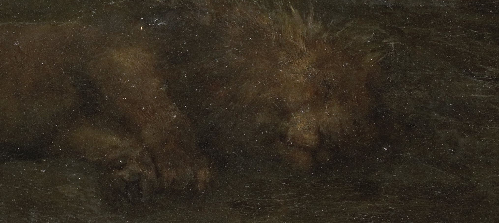 The painter was famous for his animal subjects, especially big cats.