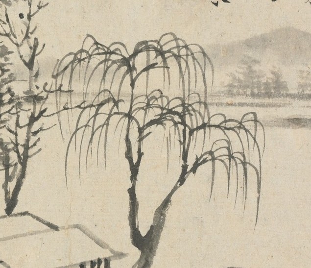 A graceful willow with drooping branches, providing a contrast in form and texture to the bare trees.