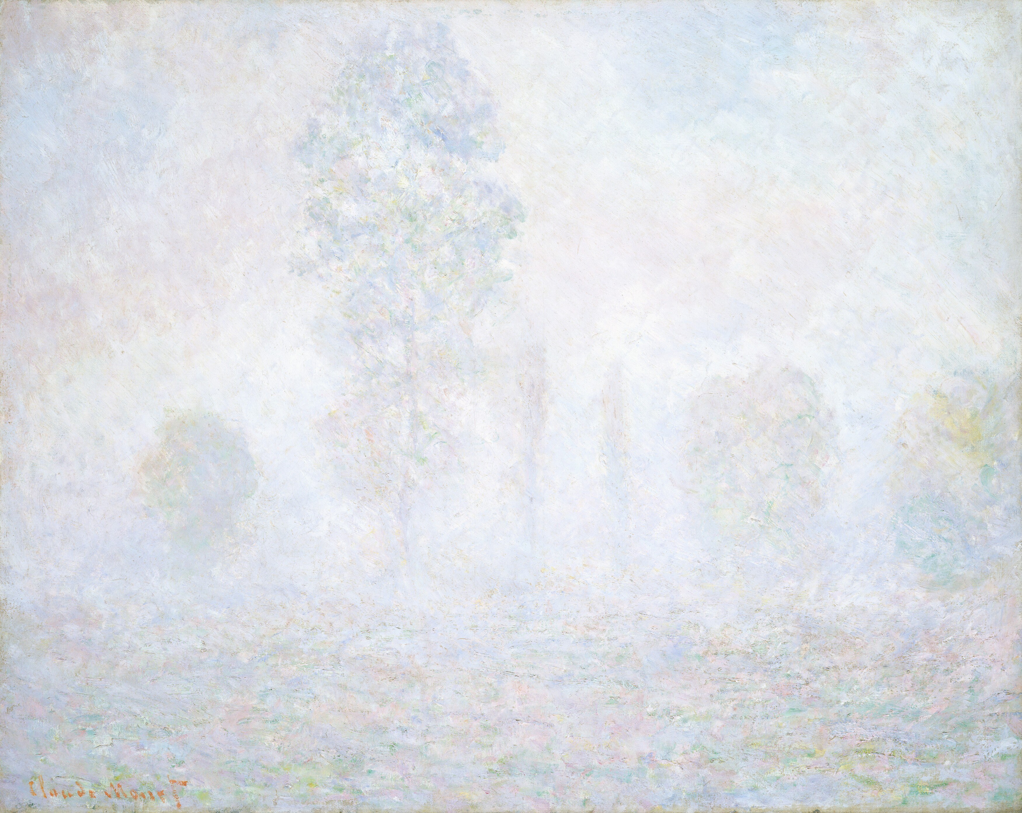 Notice the soft, diffuse light of early morning.