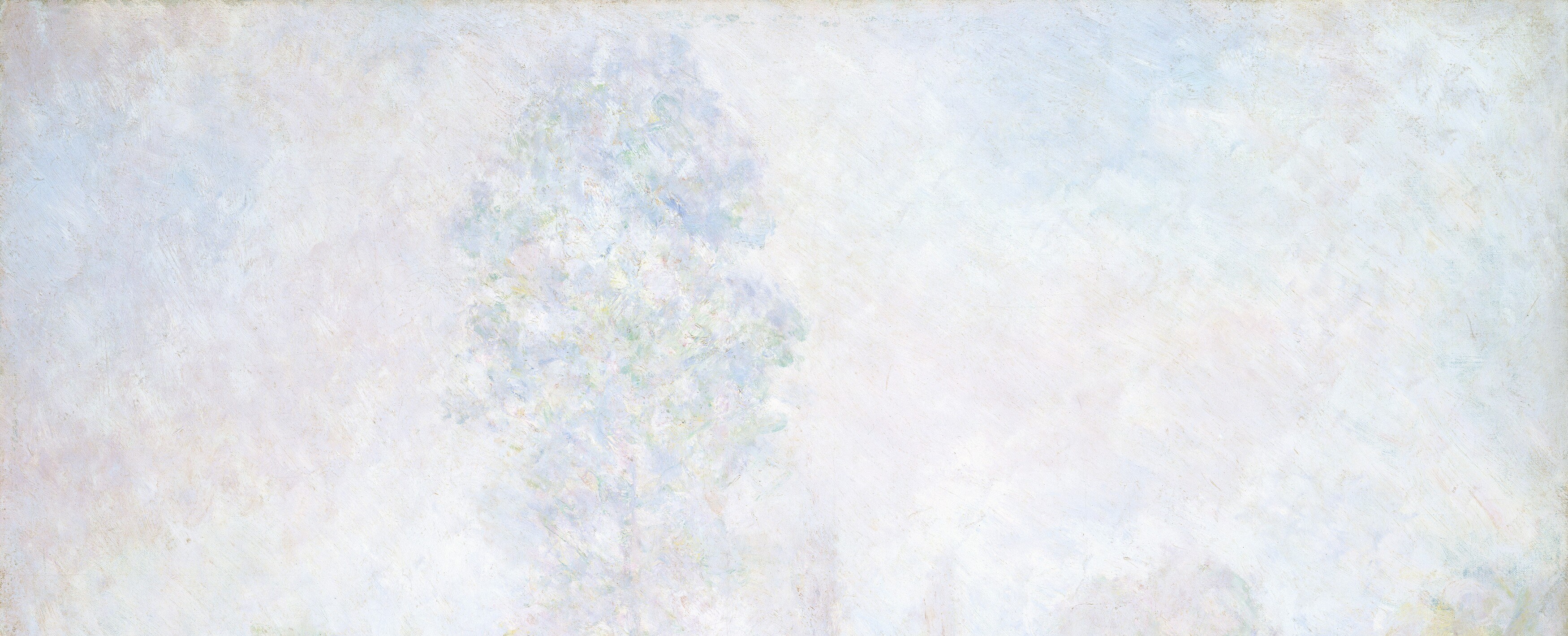 A pervasive mist hangs, softening every form.
