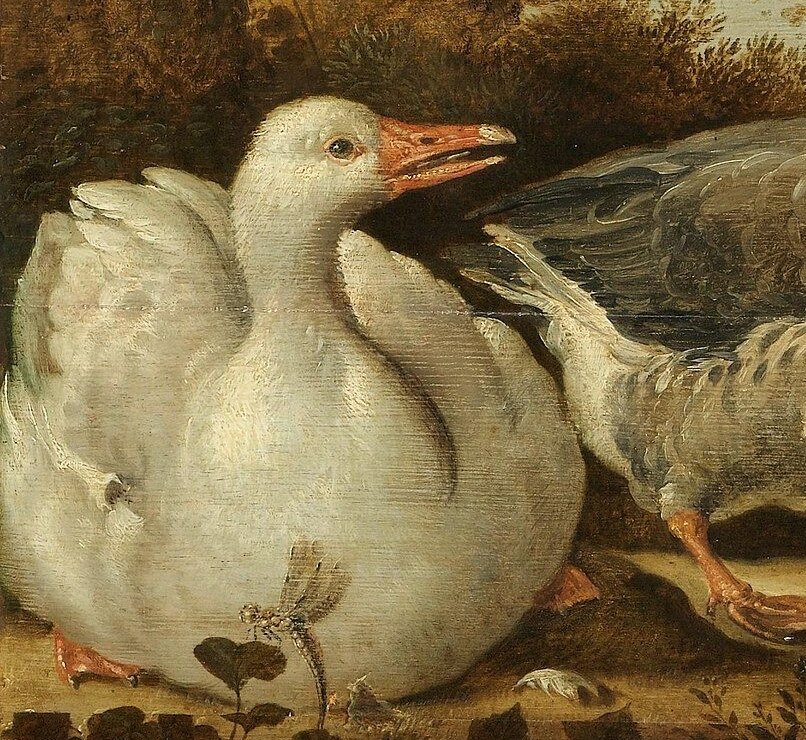 This painter was famous for his detailed images of birds.