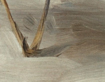 Look at the dark shadow beneath the upper bird.