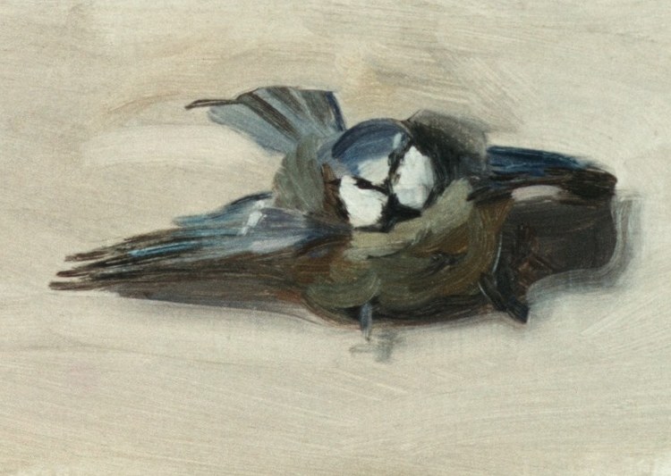 But he studied dead birds for form.
