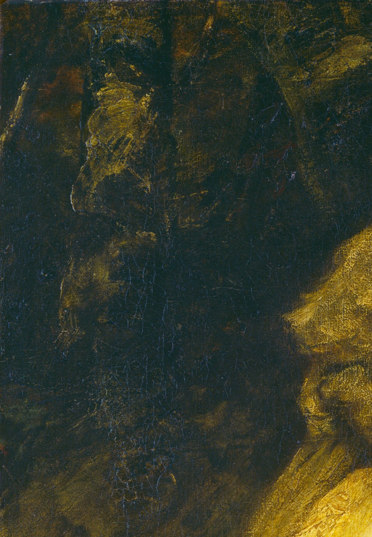 Notice the dark, textured background behind her.