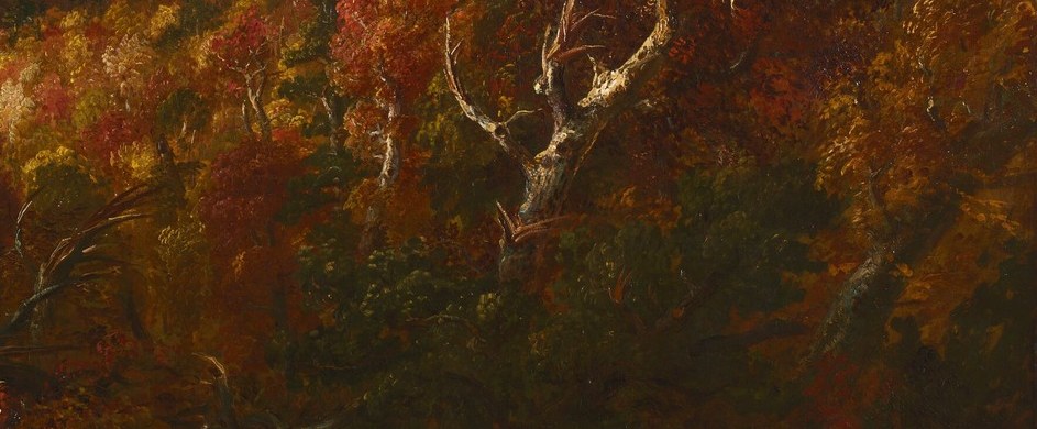 Cole presented American wilderness as an untouched, Edenic space.