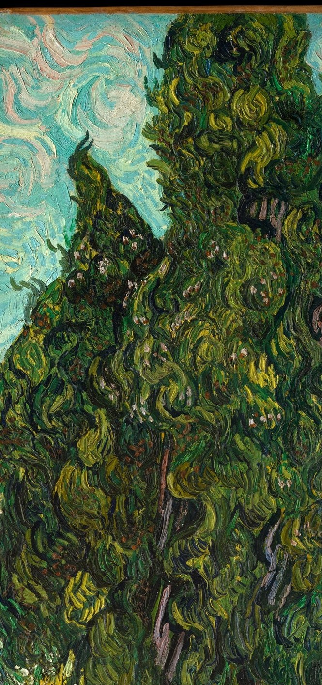 He arrived here in May 1889. By June, he was obsessed with the cypresses.