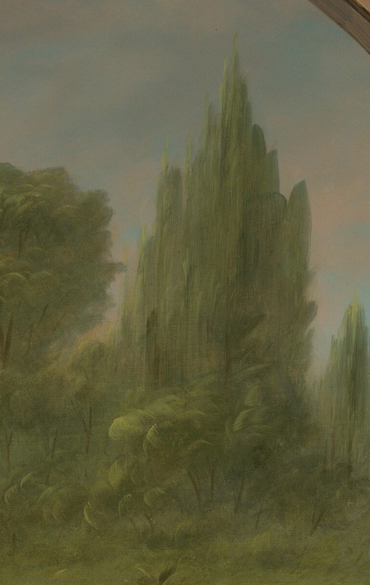 Their distinct shape and height draw the eye and provide a sense of place and scale.