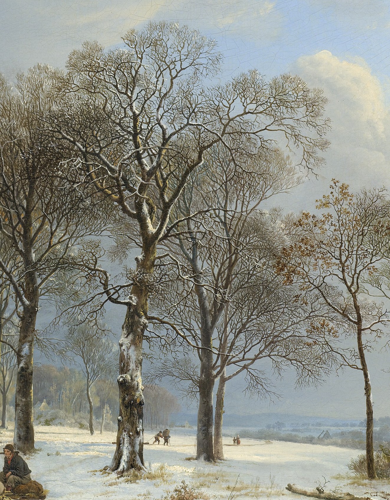The intricate, skeletal forms of the trees highlight the stark beauty of winter and the passage of seasons.