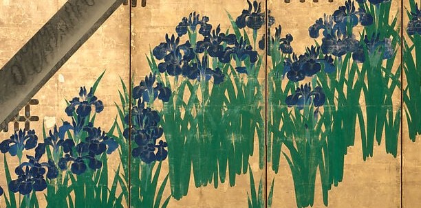 The irises are not just flowers. They are pure pattern.