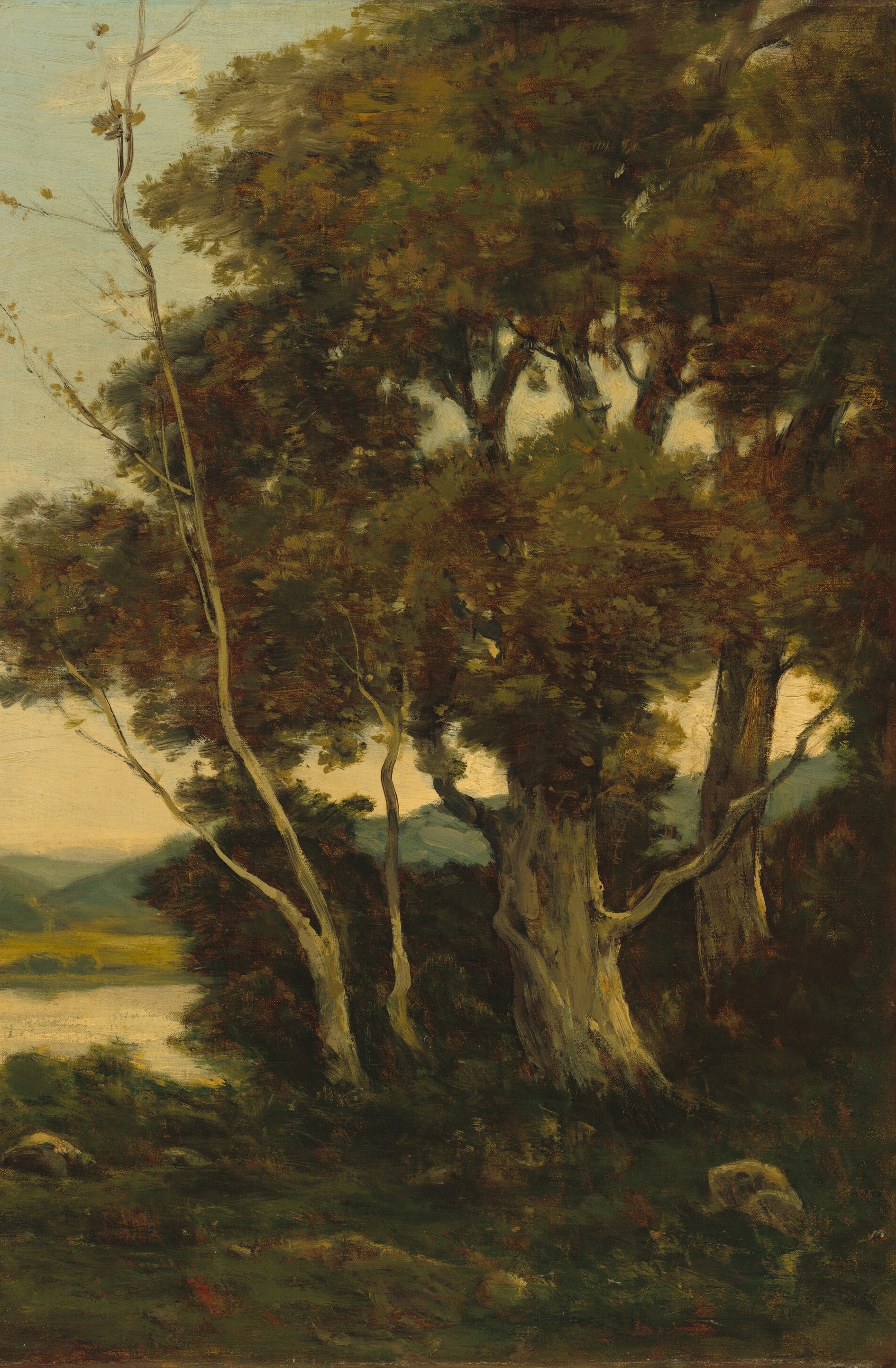 But this tree once landed the artist in court.