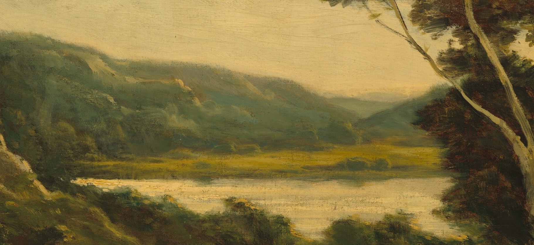 It looks like a quiet study of afternoon light.