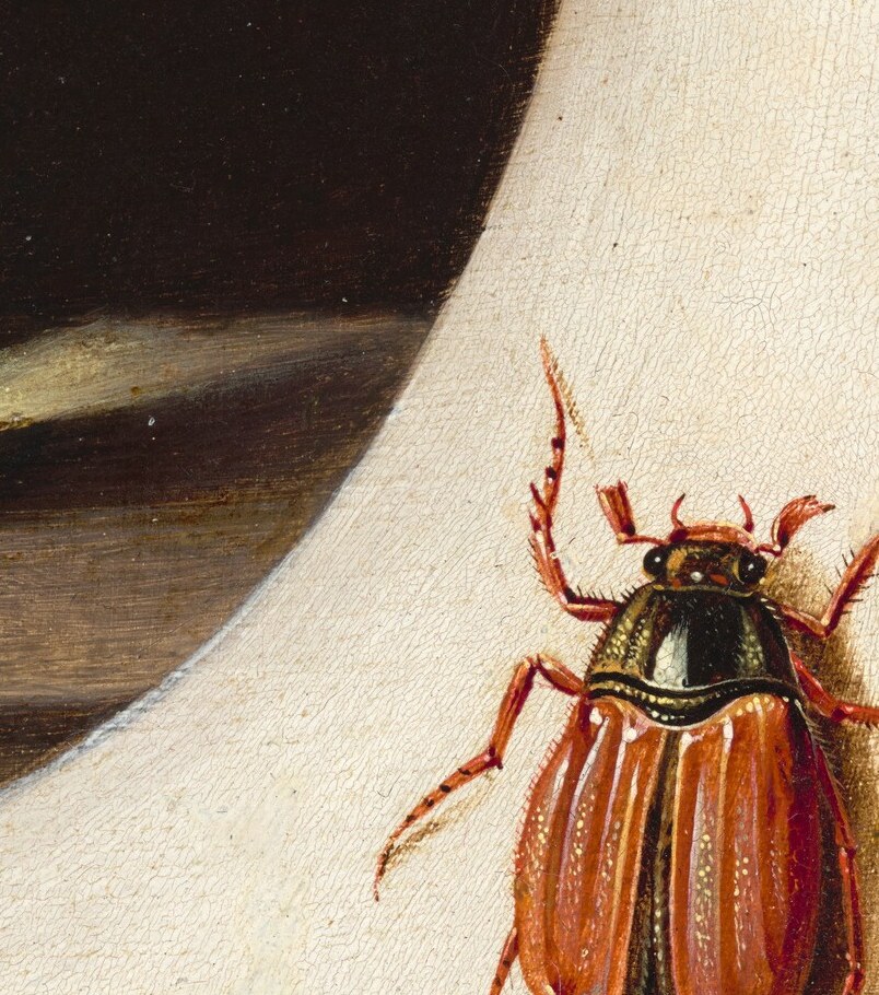 A metallic-shelled beetle painted with gem-like precision; in 17th-century still life, insects signal decay and transience beneath the beauty of flowers.
