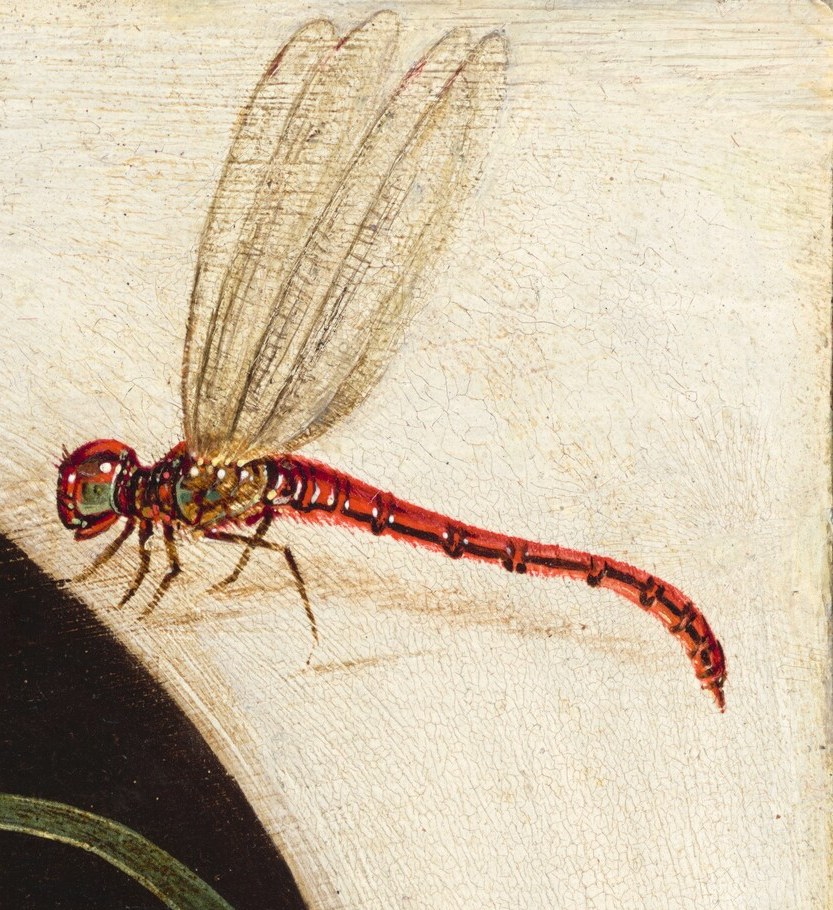 Positioned at the very edge of the composition as a boundary creature , its translucent wings are a micro-demonstration of the artist's ability to render diaphanous surfaces.