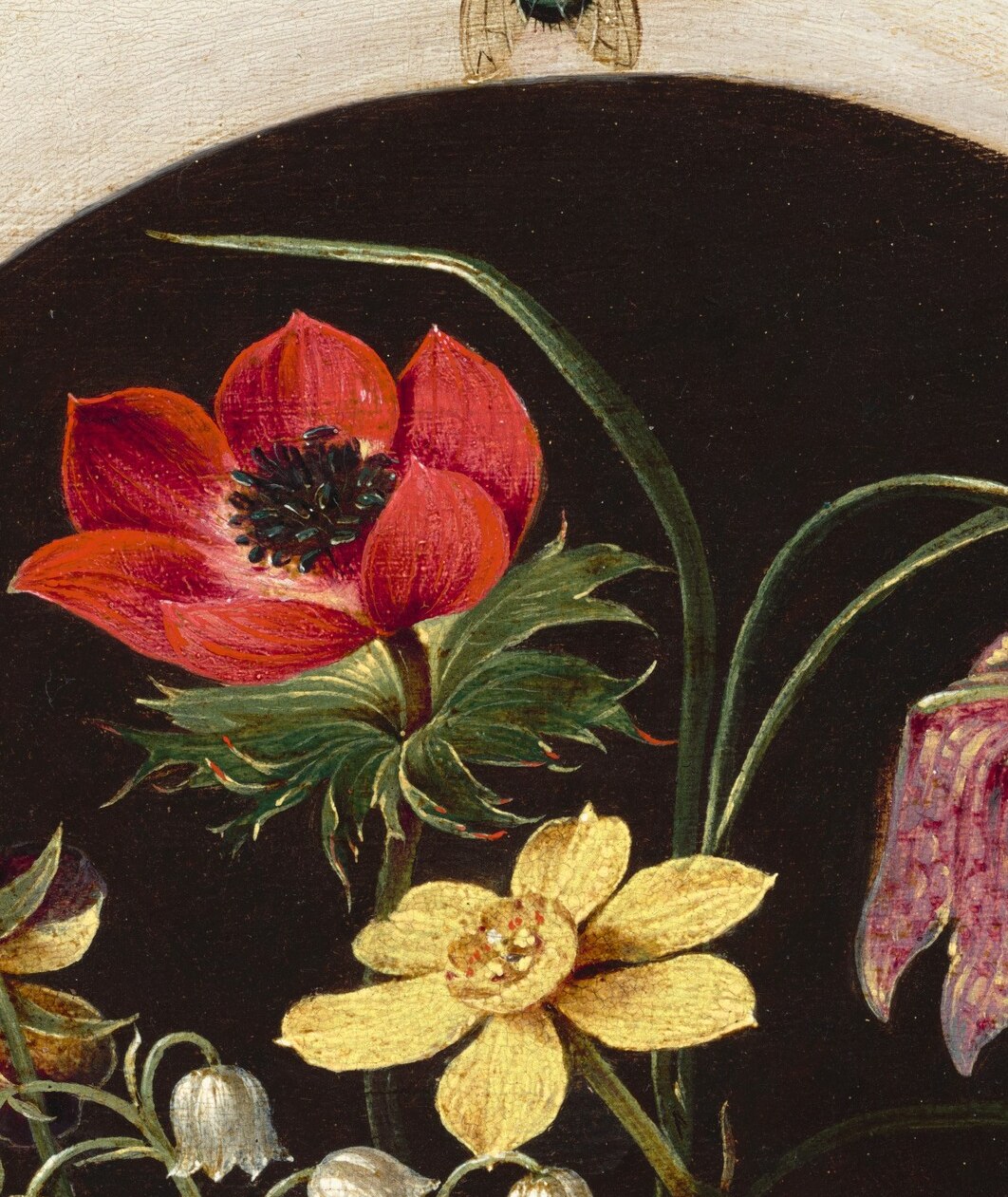 The dominant focal bloom with velvety crimson petals and a dark center , a classic Flemish showpiece flower that anchors the entire composition.