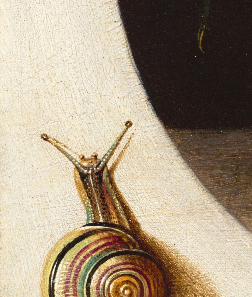 A vanitas symbol of slow time and earthly life; its outsized scale relative to the insects gives it a starring role among the creatures, and its spiral shell offers rich close-up texture.