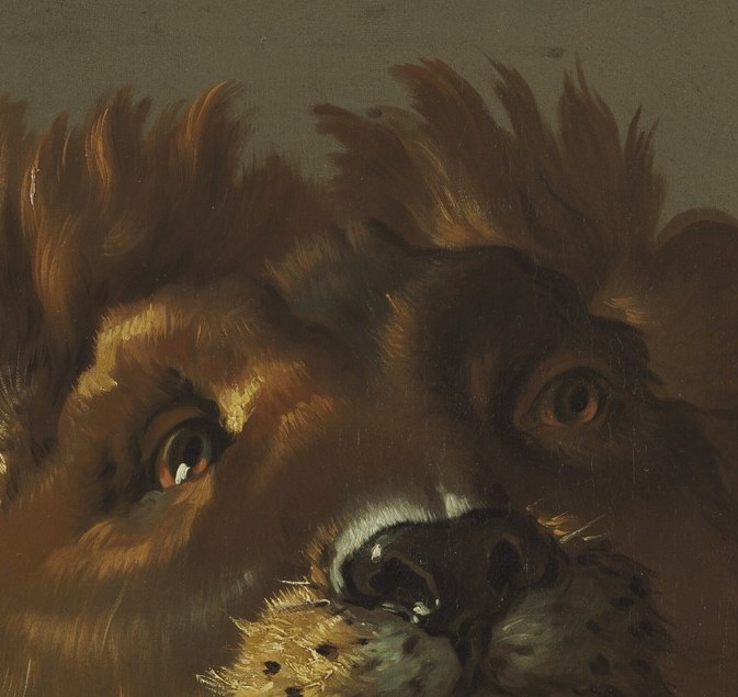 The thick, textured fur suggests power and a regal, untamed nature.