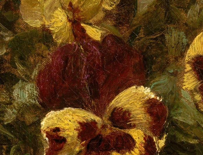 He focused on flowers, like this dark red pansy.