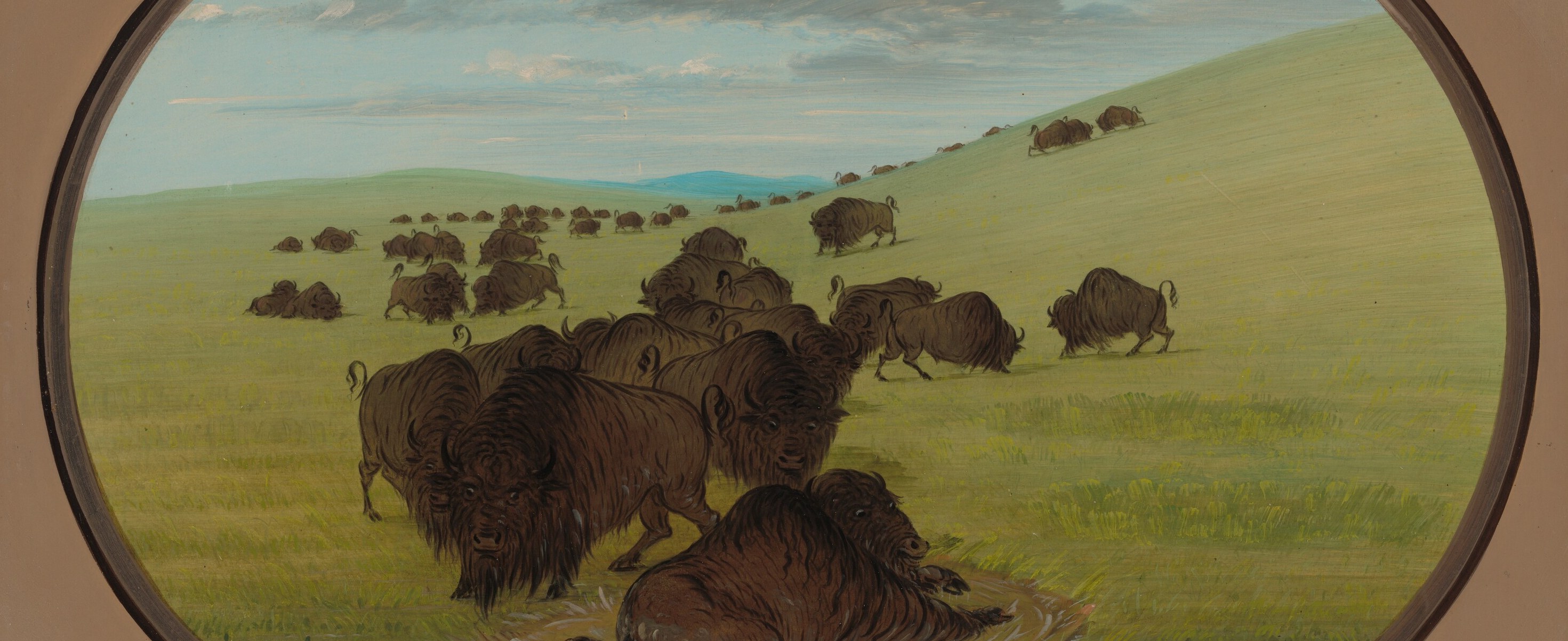 He was a lawyer who became a painter of wildlife and Indigenous life.