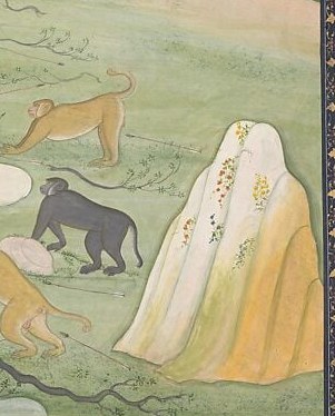 Dominant animal protagonist, upright posture aimed at approaching human , marks the story's tension apex