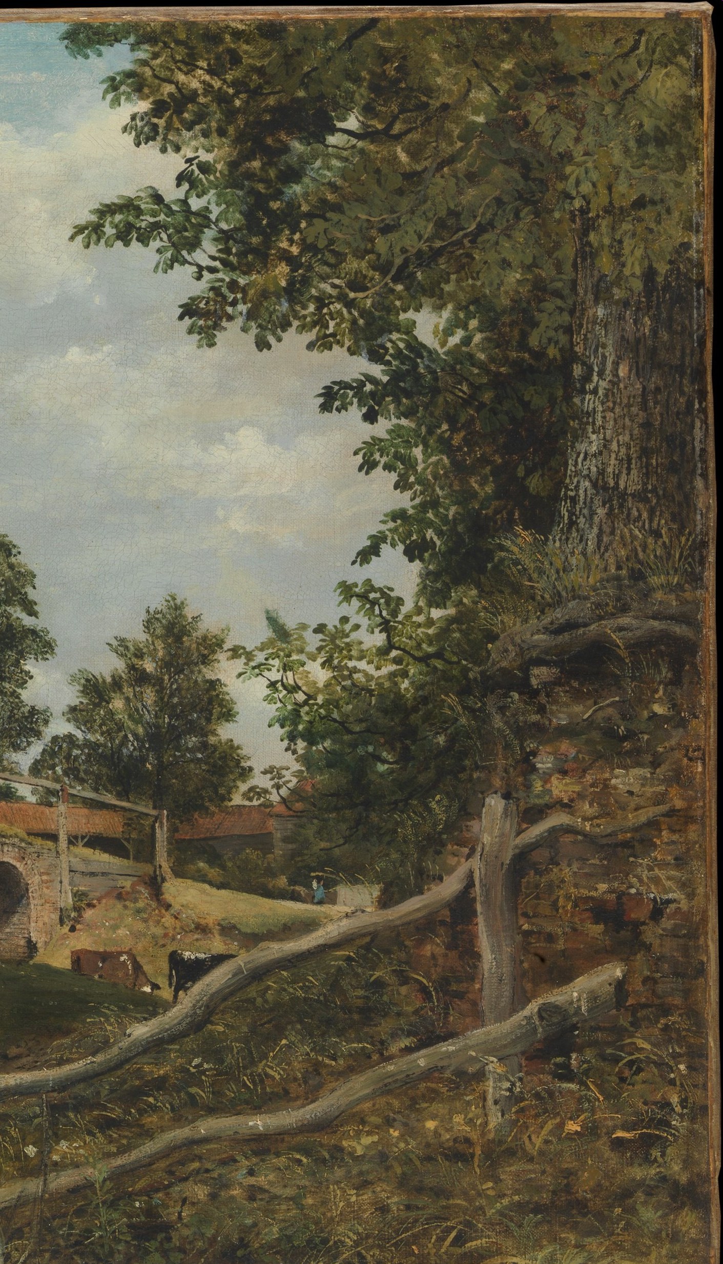 A dense vertical counterweight to the horizontal bridge; the foliage transitions from dark shadow at base to lighter, painterly passages at the crown against the sky.