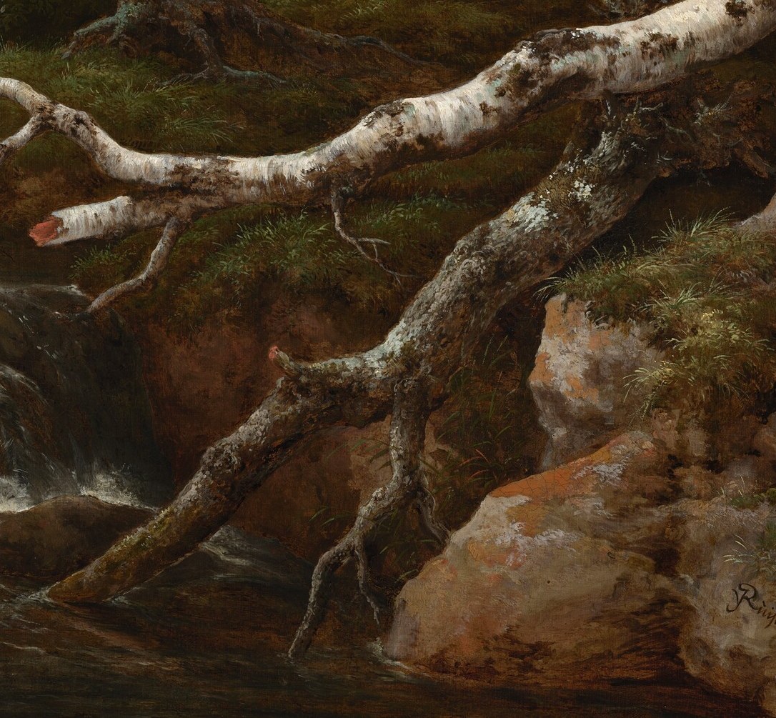 Ruisdael walked these woods and knew exactly how a forest falls and renews.