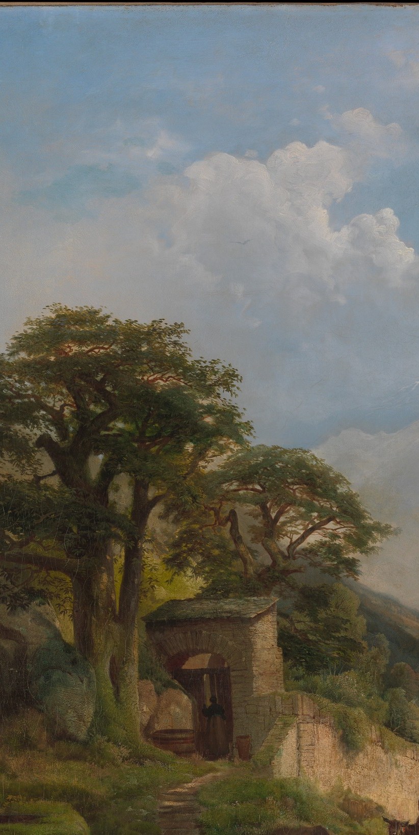 Anchor of the entire composition , its dark silhouette creates a dramatic frame against luminous clouds; the spreading canopy pulls the eye upward while rooting the scene