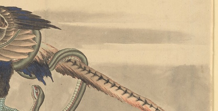 The tail dominates the right half of the composition , its pale buff-and-brown bars echo the snake's own patterning, visually linking predator and prey.