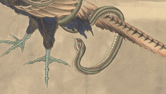 The snake's coils tighten around its legs.