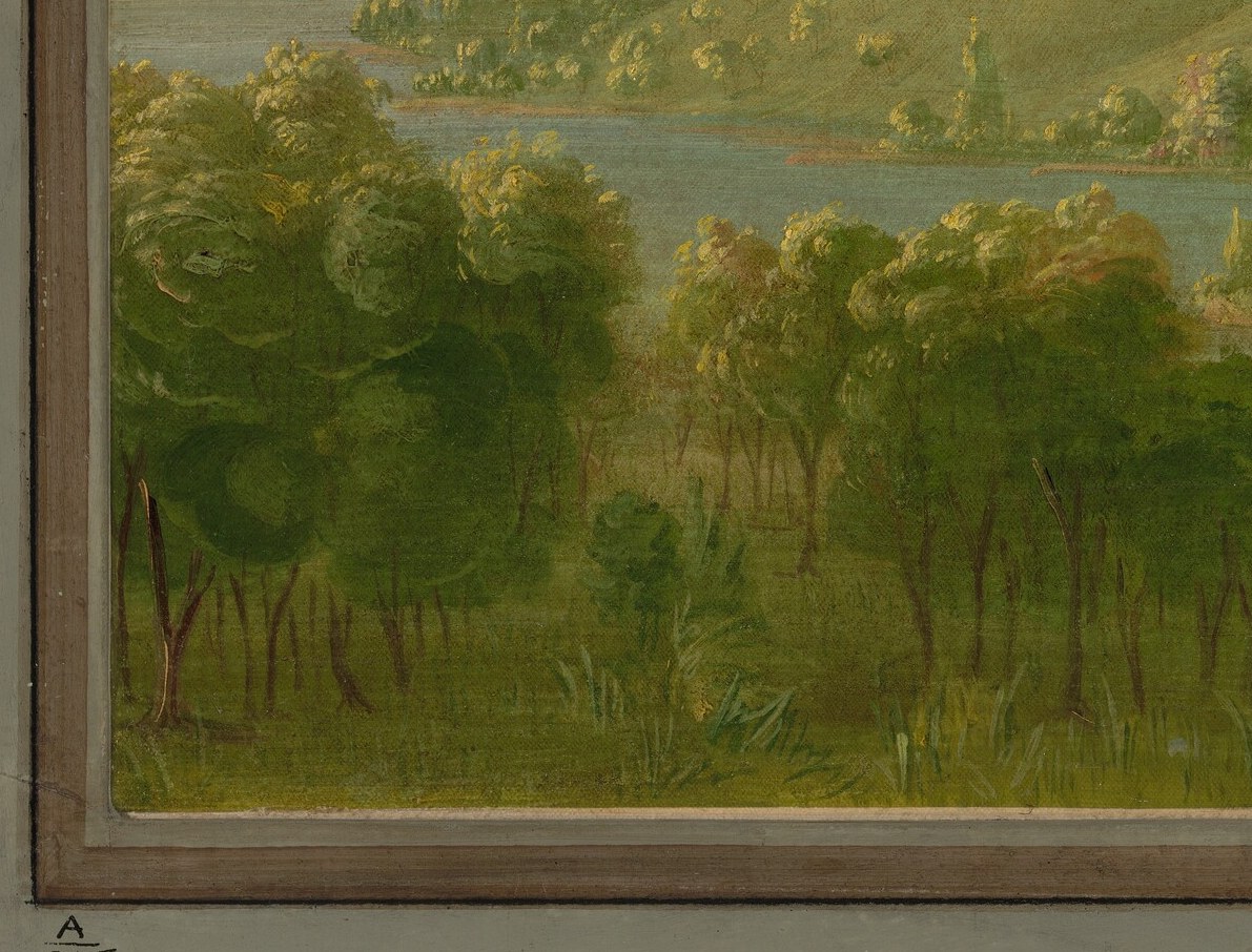 The thick foliage and dark shadows create a sense of depth and mystery.