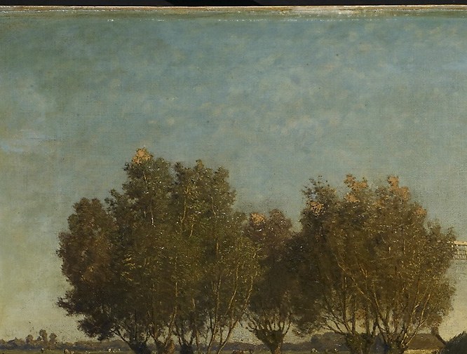 Pollarded willows line the canals, as managed as the mills.