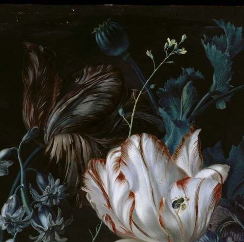 Tallest bloom crowns the composition; its upward reach and luminous white against deep black anchors the vertical axis and is the first element the eye finds.