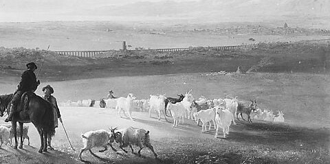 The densest animal grouping; individual heads and woolly backs catch the low light, offering a close-up texture passage.