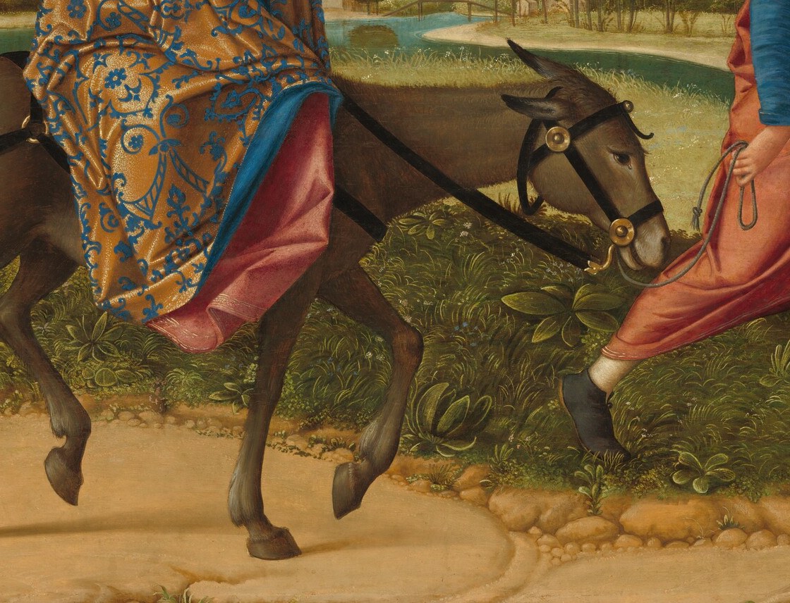 The humble beast of burden is painted with careful naturalism , visible musculature, coarse fur texture, and a patient downward gaze that grounds the divine subject in earthly reality.