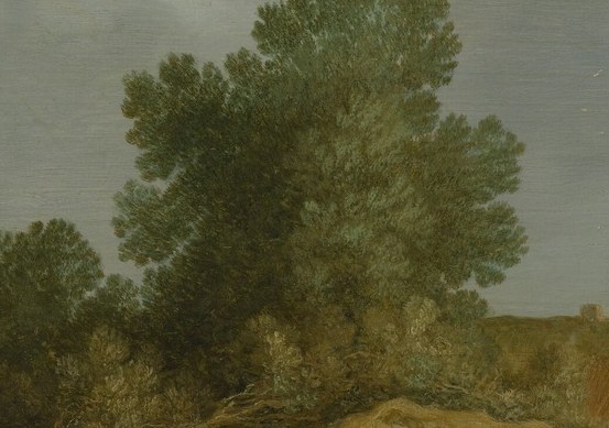 Its dense foliage and dark mass provide a strong visual counterpoint to the lighter sky and landscape, creating depth.