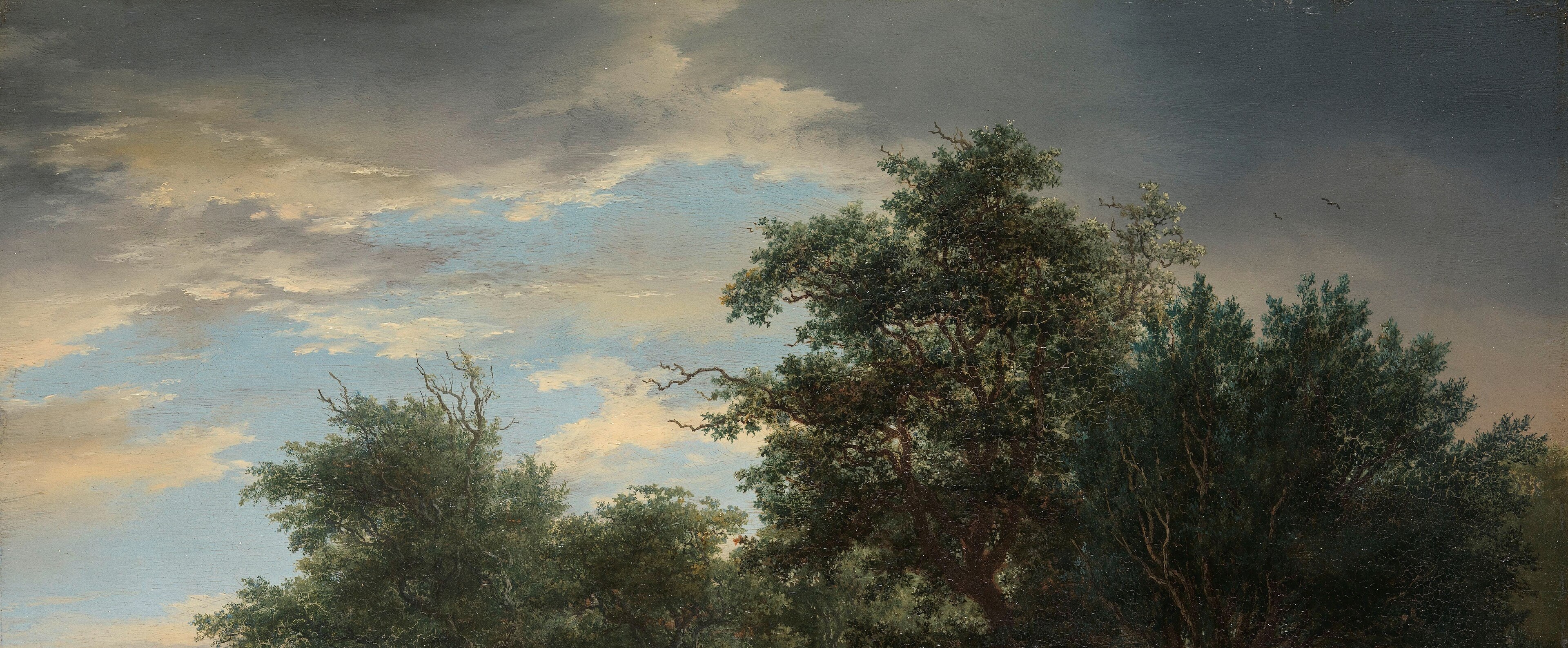 The Dutch Golden Age celebrated their natural, changing world.