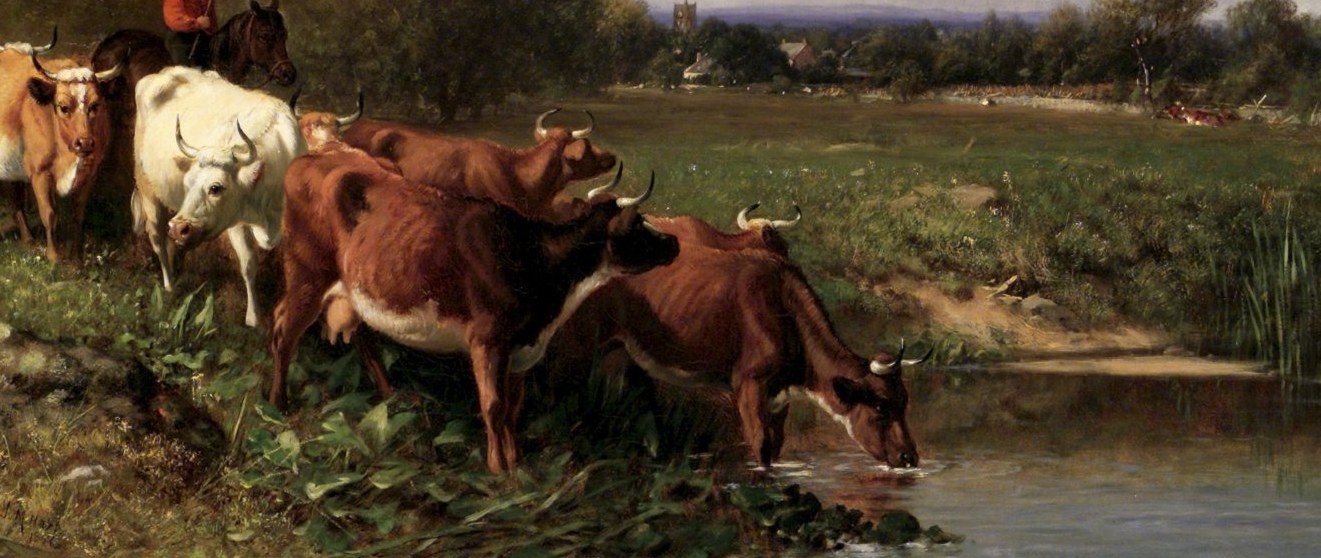 Notice the quiet herd, living peacefully by the river.
