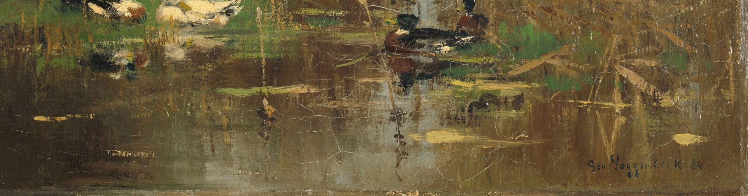 His soft brushwork captures the light on water and feathers.