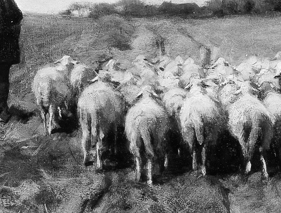 American collectors paid more for sheep coming than for sheep going.
