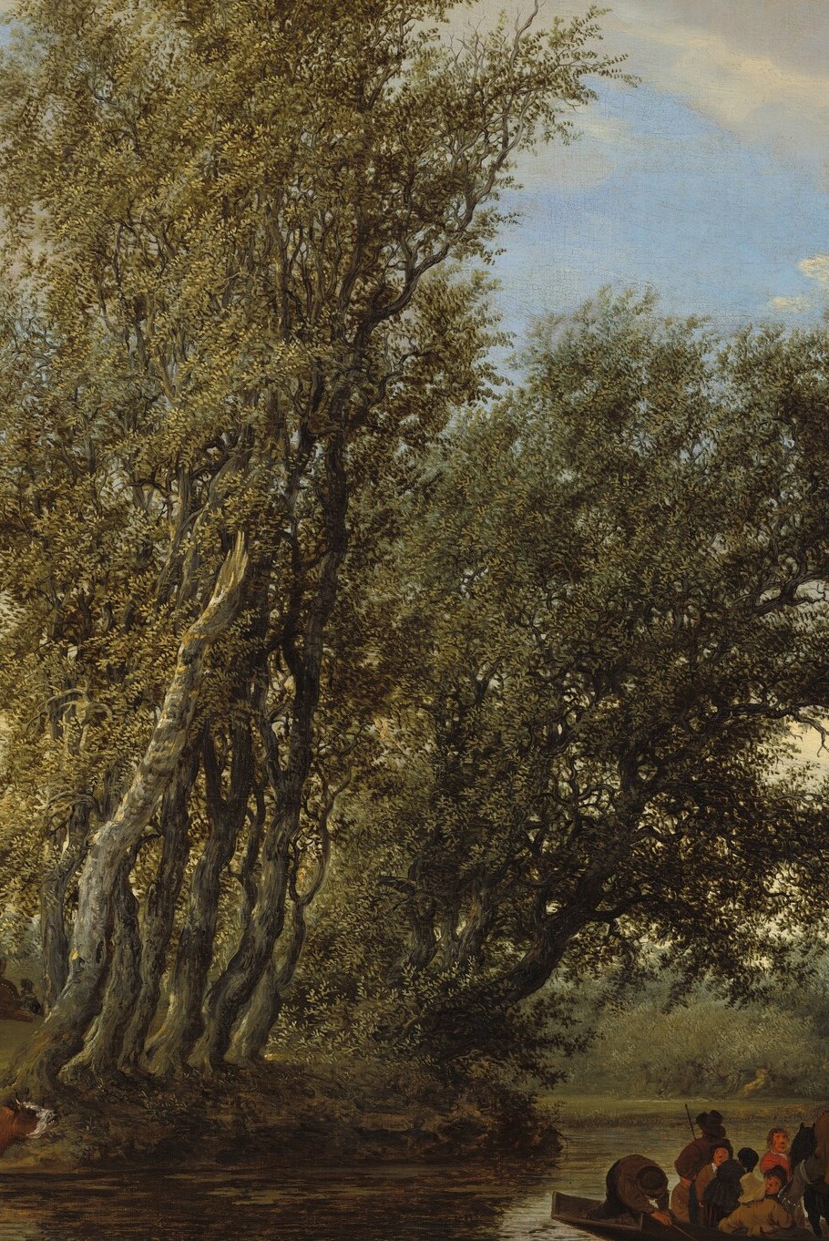 The textured bark and gnarled forms convey age and resilience.